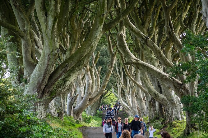 Private Giants Causeway Tour From Belfast - Pickup and Dropoff Details