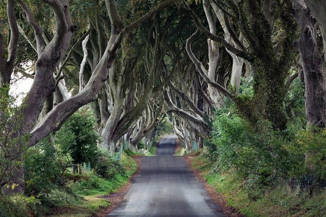 Private Giants Causeway Tour Including Game of Thrones Sites - Exceptional Guide Service