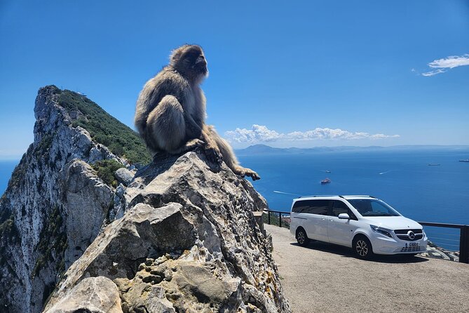Private Gibraltar Panoramic Tour With Monkeys 1hrs - About Your Stay