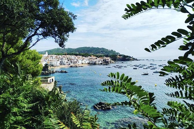 Private Girona Tour, Costa Brava Beach, Seaside Lunch. All Incl. - Customer Reviews