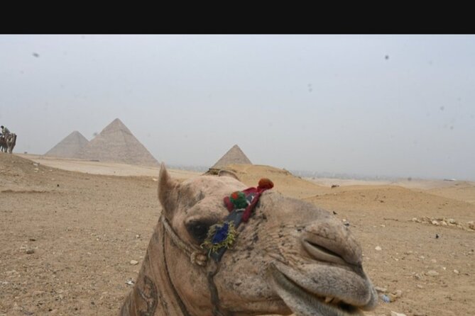Private Giza Pyramids, Camel Ride ,sphinx, Lunch and ATV - Included Experiences