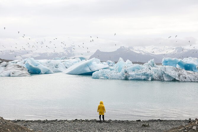 Private Glacier Lagoon, Diamond Beach & South Coast - Exploring the Glacier Lagoon