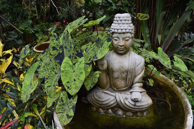 Private Glorious Gardens of Barbados - Exploring Flower Forest Gardens