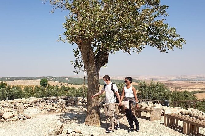 Private Göbeklitepe Tour From Istanbul - What to Expect