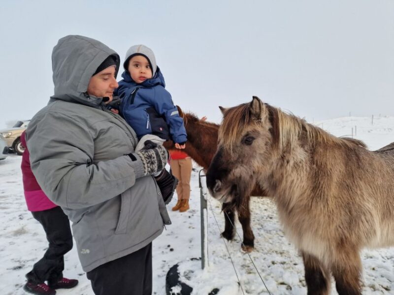 Private Golden Circle Tour (1-7 Persons) - Tingvellir National Park