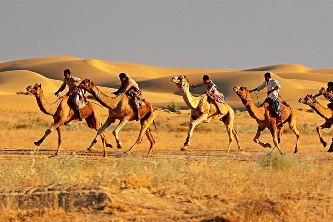 Private Golden Triangle Tour With Ajmer Pushkar - Inclusions and Pickup