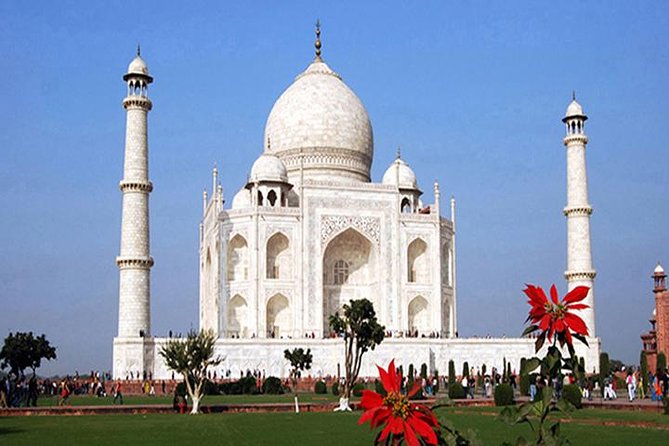 Private Golden Triangle Tour With Jodhpur From Delhi - Health and Accessibility