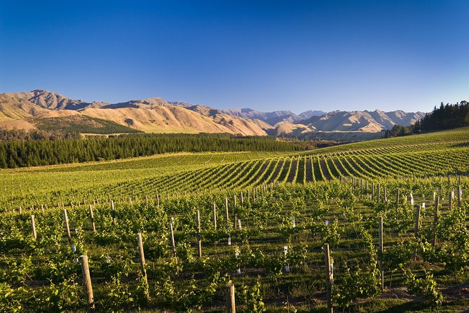 Private Gourmet Winemakers Tour - Picton Cruise Ship Excursion - Max 10 People - Inclusions