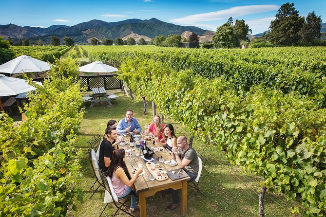 Private Gourmet Winemakers Tour - Picton Cruise Ship Excursion - Max 10 People - Picton Cruise Ship Excursion