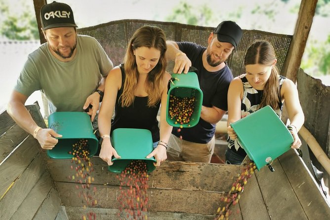 Private Graffiti Tour & Coffee Farm Experience: All in One Great Day - Graffiti Tour in Comuna 13