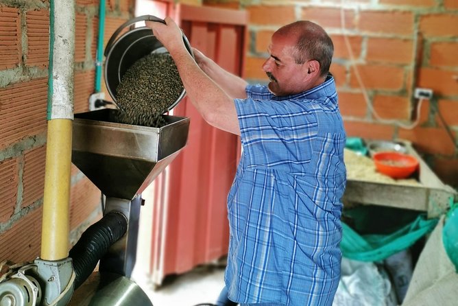 Private Graffiti Tour & Coffee Farm Experience: All in One Great Day - Highlights of the Tour