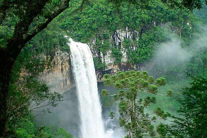 Private Gramado and Canela Day Tour From Porto Alegre - Booking Information