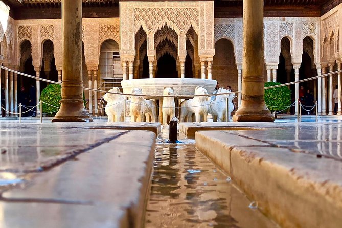 Private Granada Day Trip Including Alhambra and Generalife From Seville - Reviews and Feedback Summaries