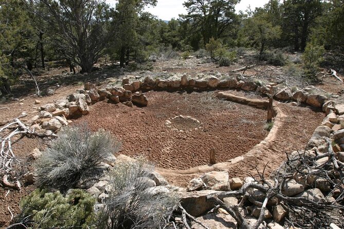 Private Grand Canyon Sightseeing Tour From Williams Tusayan GCV - Key Points