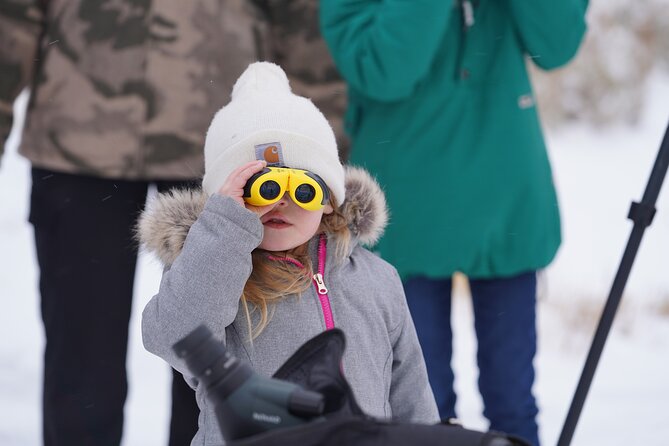 Private Grand Teton Winter Wildlife Safari With Picnic Lunch - Tour Overview