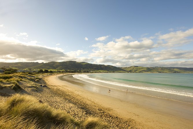 Private Great Ocean Road and Twelve Apostles Tour From Melbourne - Scenic Highlights