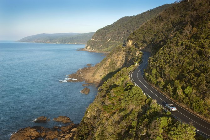 Private Great Ocean Road and Twelve Apostles Tour From Melbourne - Dining Experience