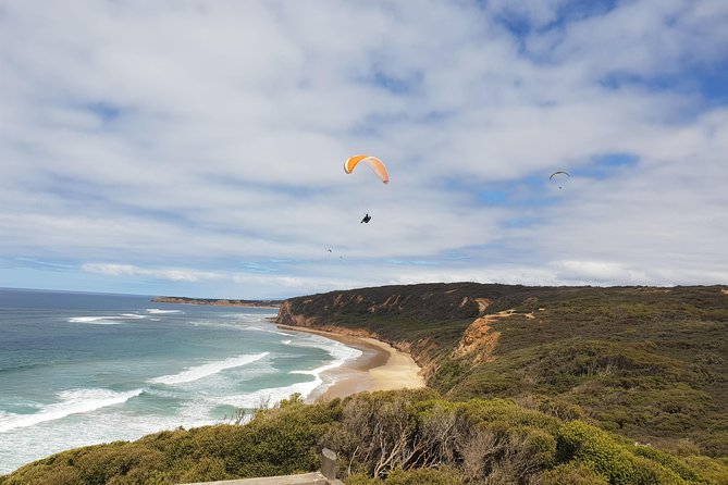 Private Great Ocean Road Day Trip From Melbourne - Scenic Route and Photo Ops