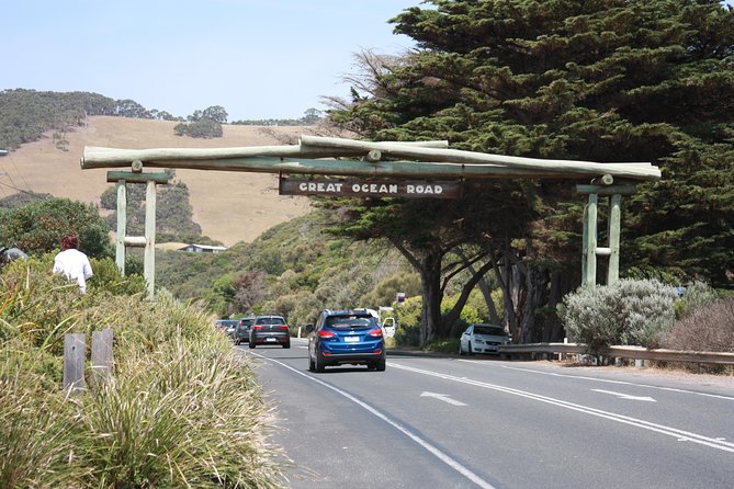 Private Great Ocean Road Day Trip From Melbourne - Nature and Wildlife Encounters