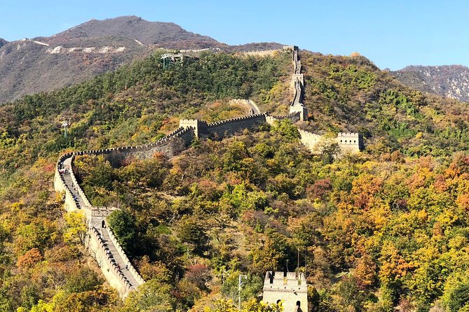 Private Great Wall Tour From Tianjin Port - Health and Accessibility
