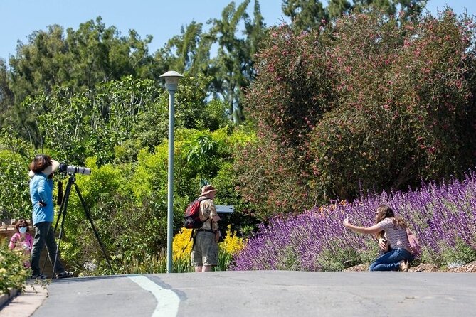 Private Greater Los Angeles and Shoreline Village Tour. - Transportation and Pickup Information