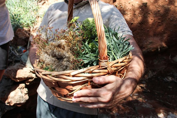 Private Greek Cooking Class and Foraging Experience in Syros - Exploring Local Herbs and Spices
