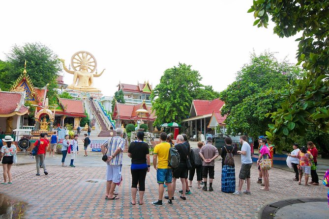 Private Group City Tour Around Koh Samui - Lad Koh Viewpoint
