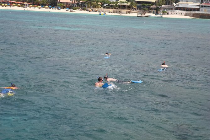 Private Group Cruise Catamaran Yacht Ocho Rios Jamaica - Suitability and Accessibility