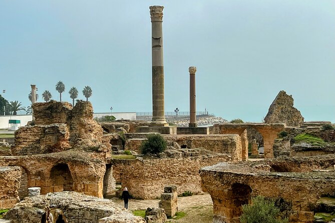 Private Group Day Tour Tunis Medina Carthage Sidi Bou Said - Positive Traveler Feedback