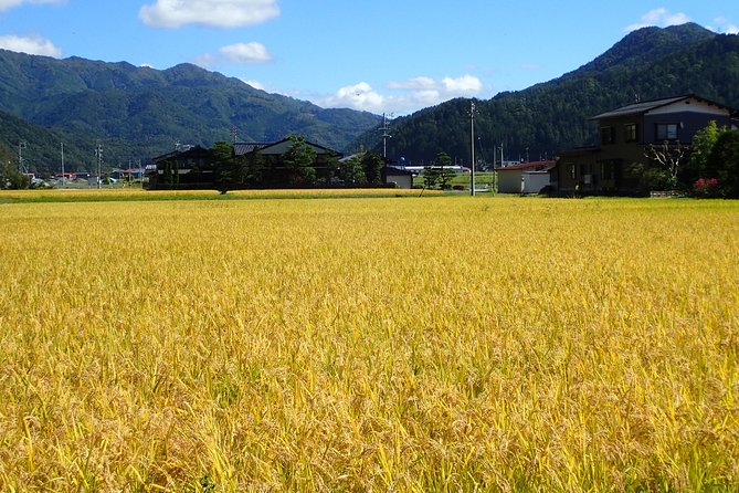 Private-group Morning Cycling Tour in Hida-Furukawa - Exploring Rural Japanese Countryside
