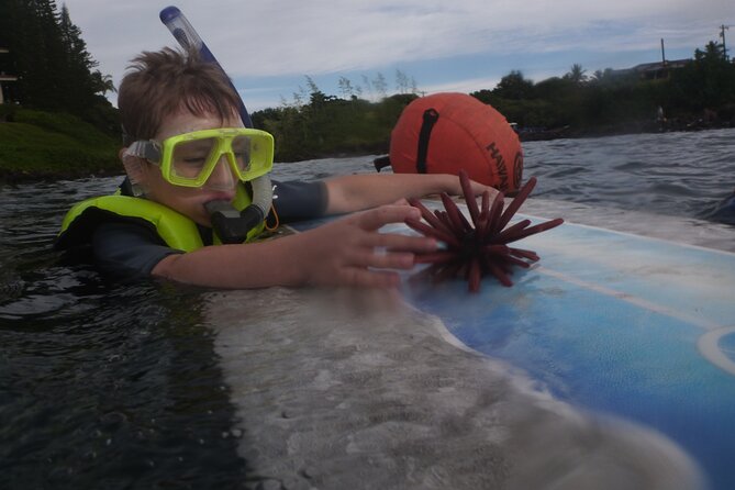 Private Group Snorkel Adventure on Tropical Reef With Sea Turtles - Exceptional Customer Reviews