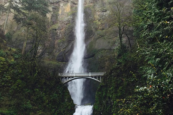 Private Group Tour up to 11 of Columbia River Gorge Waterfalls and Mt Hood Day Tour From Portland - Tour Schedule and Accessibility