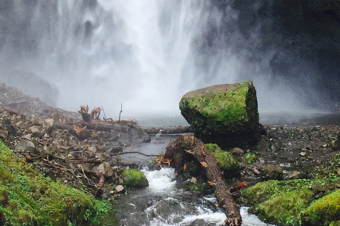 Private Group Tour up to 11 of Columbia River Gorge & Waterfalls From Portland - Recap