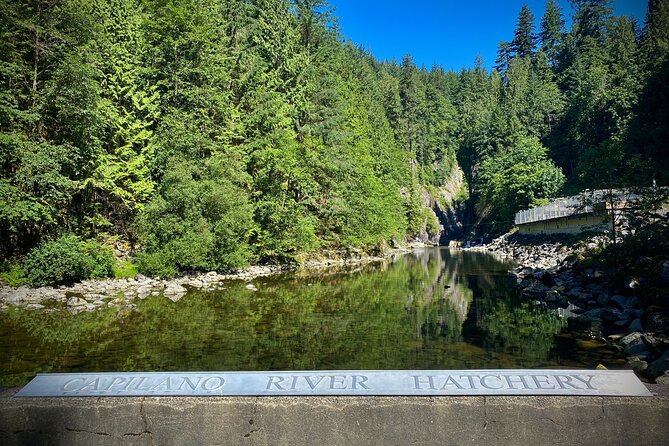 Private Grouse Mountain and Capilano Park Tour in Vancouver - Capilano Suspension Bridge Park