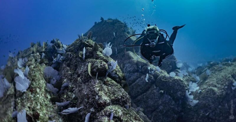 Private Guide Certified Divers Cabo San Lucas Marine Reserve - Diving Experience