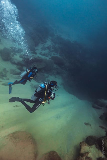 Private Guide Certified Divers Cabo San Lucas Marine Reserve - Frequently Asked Questions