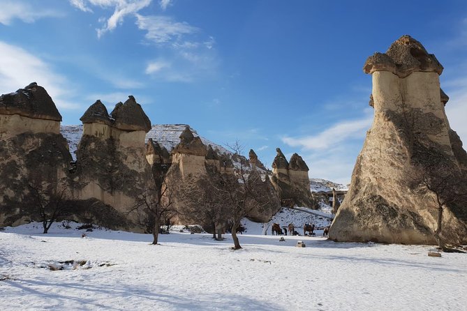 Private Guide in Cappadocia, Turkey - Transportation and Meeting Point