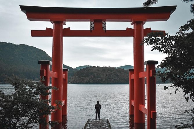 Private Guide Sightseeing to Mt Fuji & Hakone ENGLISH SPEAKING - Avoiding Train Hassle