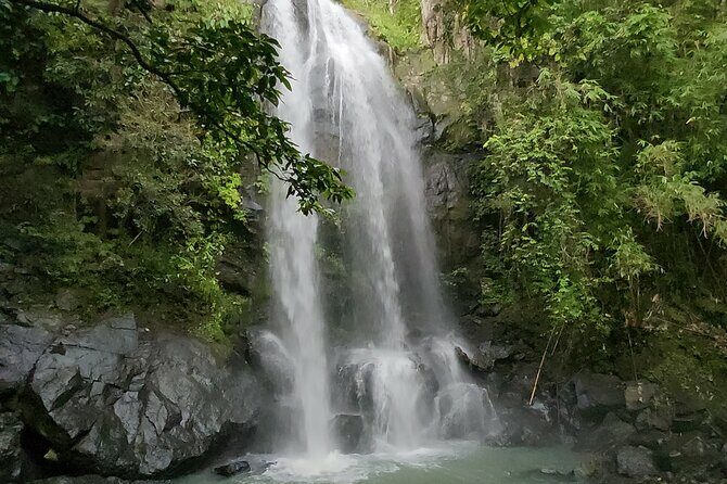 Private Guided Adventure in Nadi with Pick-up - A Deep Dive into the Experience