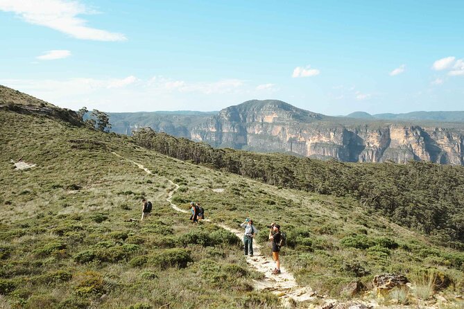PRIVATE Guided Adventure Through The Blue Mountains - Pickup Information