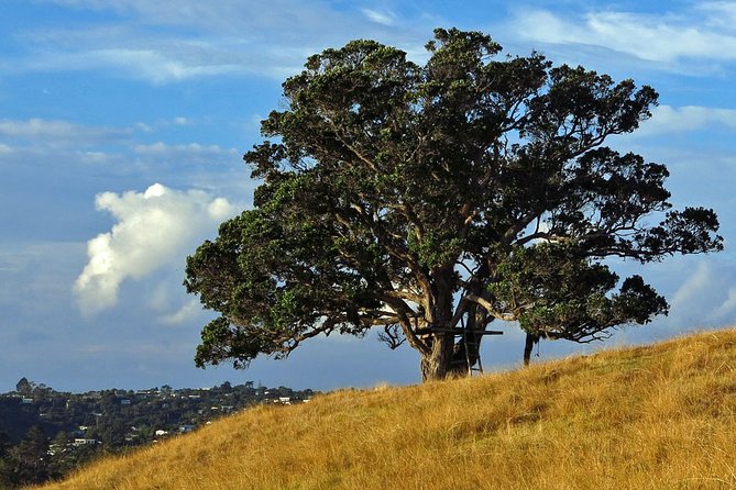 Private Guided Best of Waiheke Island - Accommodations and Dining