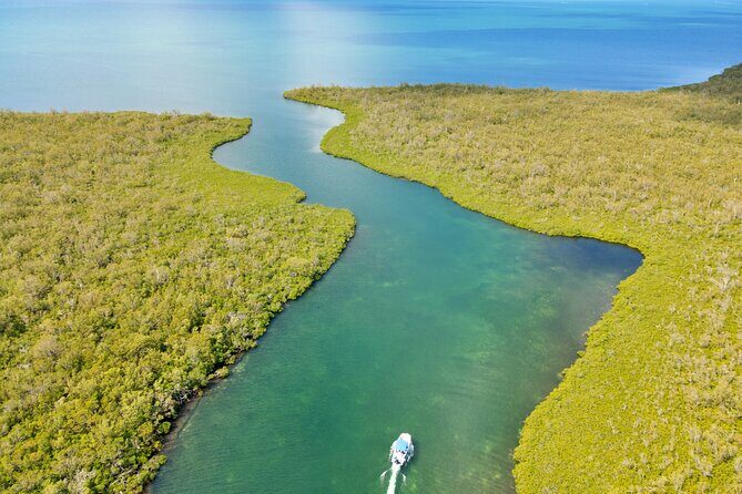 Private, Guided Boat Charters in The Cayman Islands - A Closer Look at the Experience