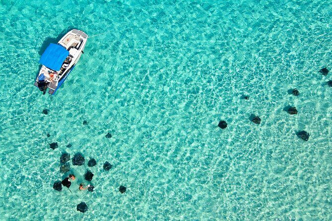 Private, Guided Boat Charters in The Cayman Islands - Who Will Love This Tour?