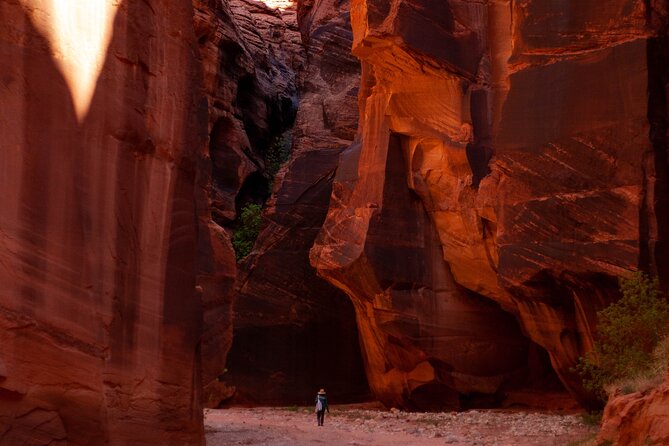 Private Guided Buckskin Gulch Tour Via Wire Pass - Unique Geological Features