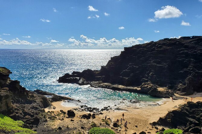 Private Guided Circle Oahu Island Tour - Customer Feedback