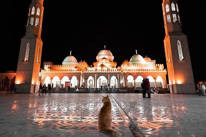 Private Guided City Tour With Shopping in Hurghada - Tips for an Enjoyable Experience