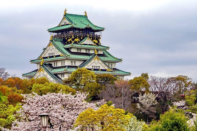 Private Guided Custom Walking Tour in Osaka - Booking Details