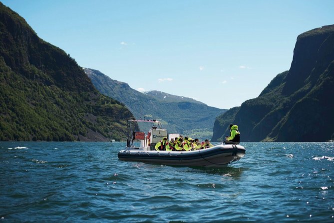 Private Guided Day Tour - RIB Nærøyfjord Safari & Flåm Railway - Scenic Views and Waterfalls