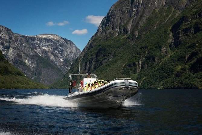 Private Guided Day Tour - RIB Nærøyfjord Safari & Flåm Railway - Transportation and Logistics