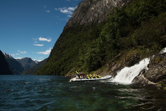 Private Guided Day Tour - RIB Nærøyfjord Safari & Flåm Railway - Customer Reviews and Ratings